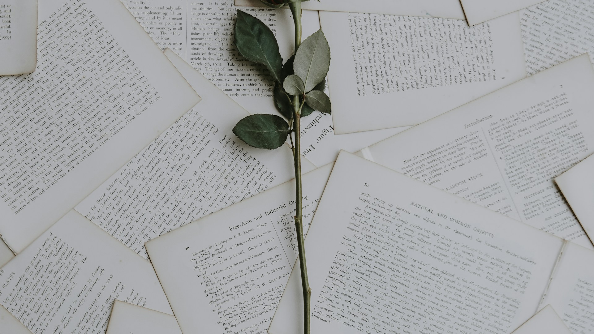 Comment savoir si on est amoureux : 15 signes qui ne trompent pas (et ce que dit la science)