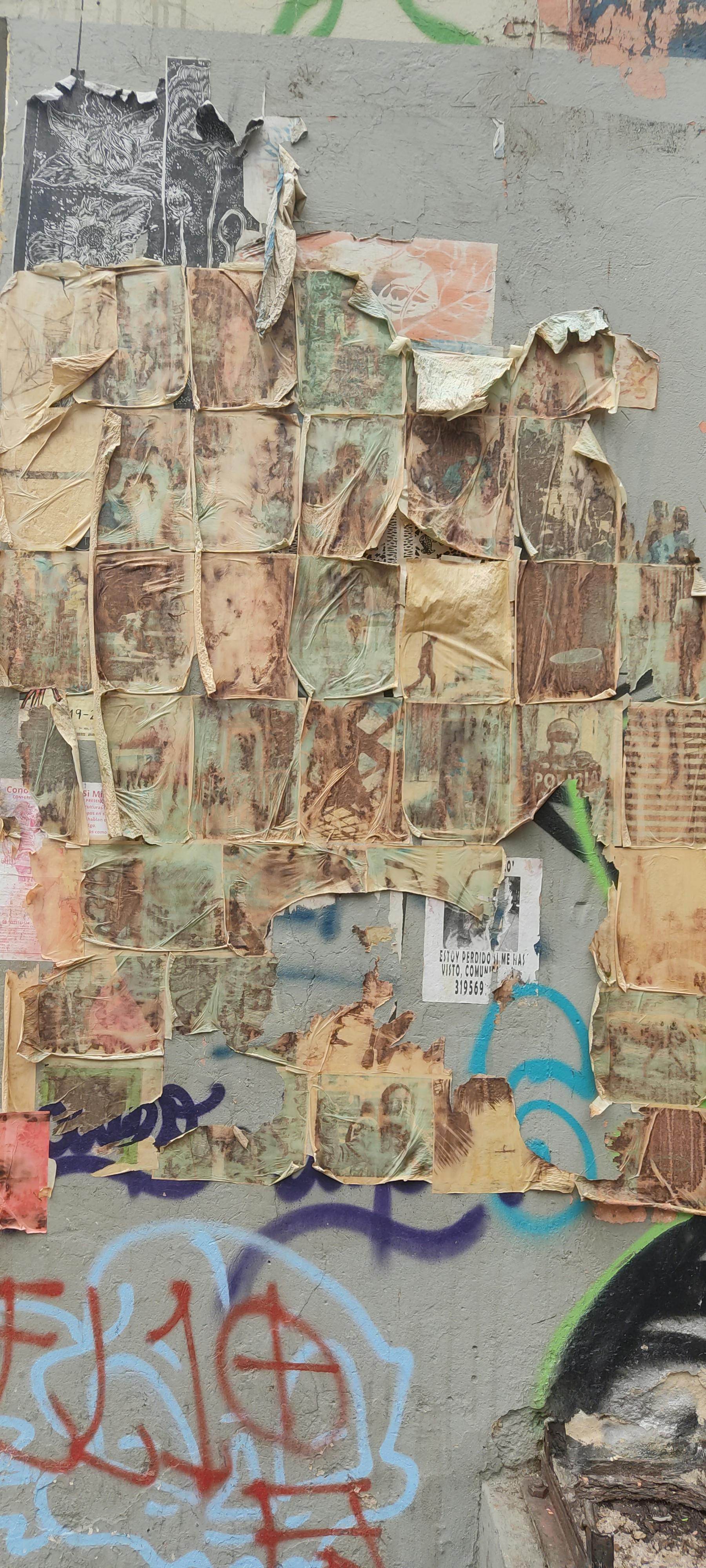 Couple walking near trees with autumn leaves